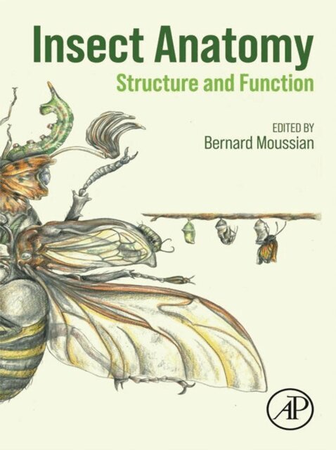 Bernard Moussian - Insect Anatomy, E-bok