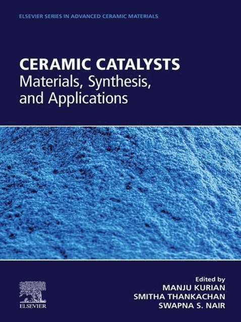 Swapna S. Nair, Smitha Thankachan, Manju Kurian - Ceramic Catalysts, E-bok