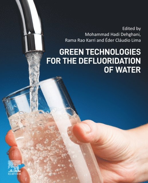 Eder Claudio Lima, Rama Rao Karri, Mohammad Hadi Dehghani - Green Technologies for the Defluoridation of Water, E-bok