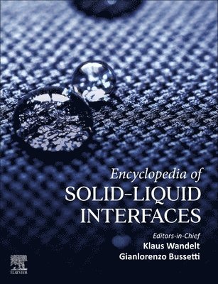 Encyclopedia of Solid-Liquid Interfaces, Inbunden