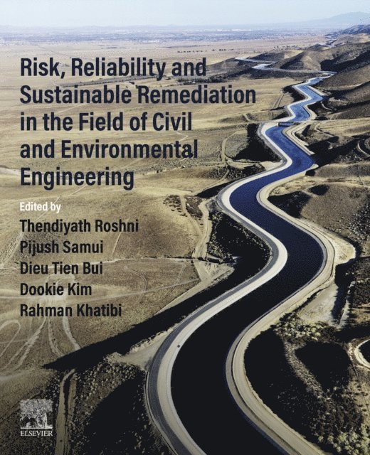 Rahman Khatibi, Dookie Kim, Dieu Tien Bui, Pijush Samui, Thendiyath Roshni - Risk, Reliability and Sustainable Remediation in the Field of Civil and Environmental Engineering, E-bok