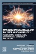 Magnetic Nanoparticles and Polymer Nanocomposites