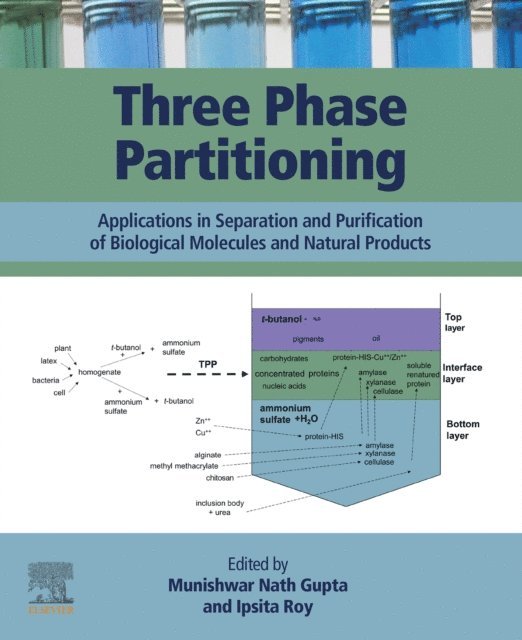 Ipsita Roy, Munishwar Nath Gupta - Three Phase Partitioning, E-bok