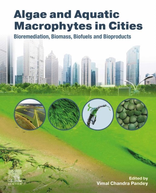Vimal Chandra Pandey - Algae and Aquatic Macrophytes in Cities, E-bok