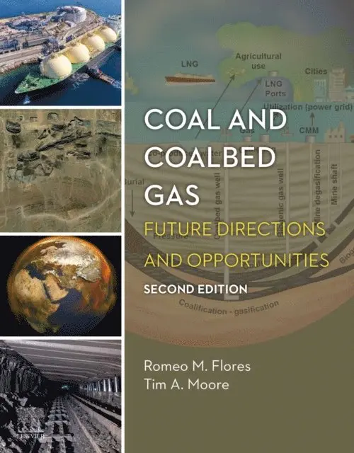 Tim A. Moore, Romeo M. Flores - Coal and Coalbed Gas, E-bok. Tillgänglighet: Lägg i varukorg