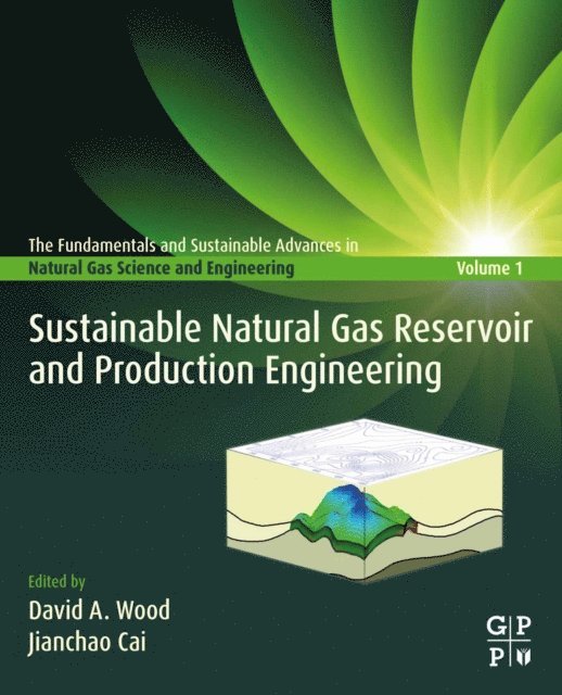 Jianchao Cai, David A. Wood - Sustainable Natural Gas Reservoir and Production Engineering, E-bok