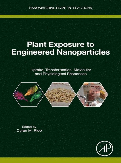 Cyren Rico - Plant Exposure to Engineered Nanoparticles, E-bok