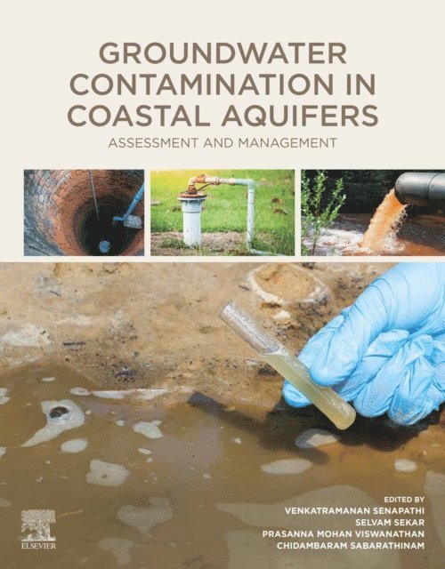 Chidambaram Sabarathinam, Prasanna Mohan Viswanathan, Selvam Sekar, Senapathi Venkatramanan - Groundwater Contamination in Coastal Aquifers, E-bok