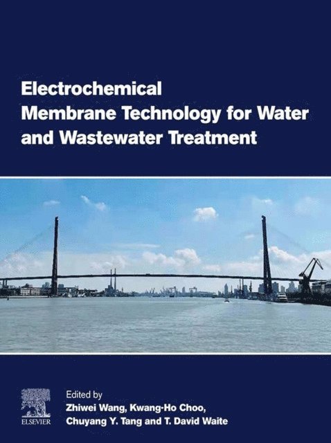 T David Waite, Chuyang Y. Tang, Kwang-Ho Choo, Zhiwei Wang - Electrochemical Membrane Technology for Water and Wastewater Treatment, E-bok