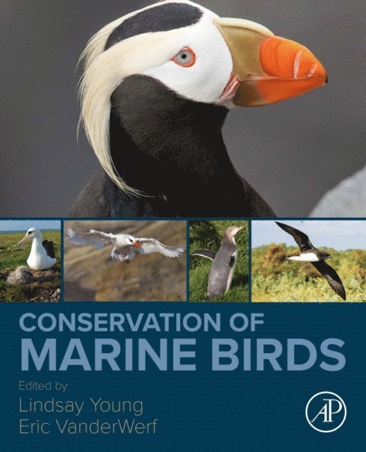 Eric VanderWerf, Lindsay Young - Conservation of Marine Birds, E-bok. Tillgänglighet: Lägg i varukorg