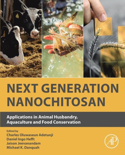 Michael K Danquah, Jaison Jeevanandam, Daniel Ingo Hefft, Charles Oluwaseun Adetunji - Next Generation Nanochitosan, E-bok