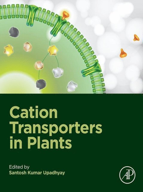 Santosh Kumar Upadhyay - Cation Transporters in Plants, E-bok