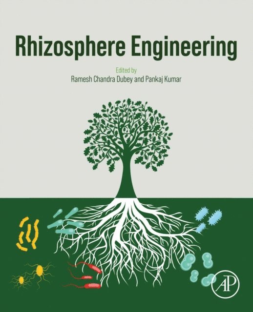 Pankaj Kumar, Ramesh Chandra Dubey - Rhizosphere Engineering, E-bok
