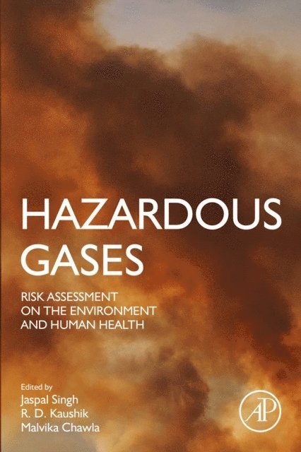 Malvika Chawla, R.D. Kaushik, Jaspal Singh - Hazardous Gases, E-bok