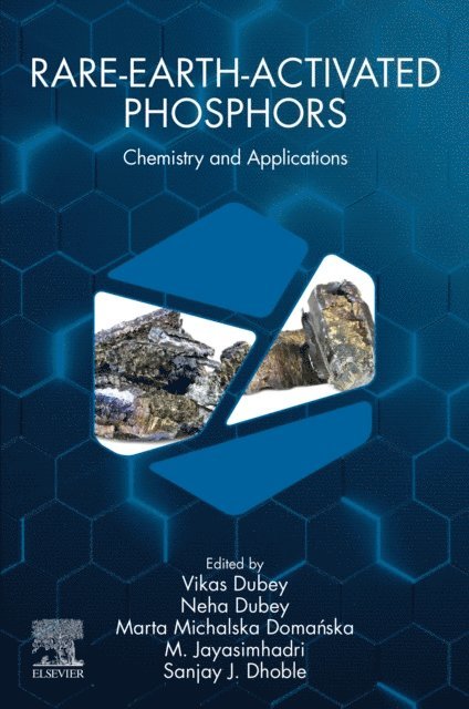 M Jayasimhadri, Marta Michalska Domanska, Neha Dubey, Vikas Dubey - Rare-Earth-Activated Phosphors, E-bok