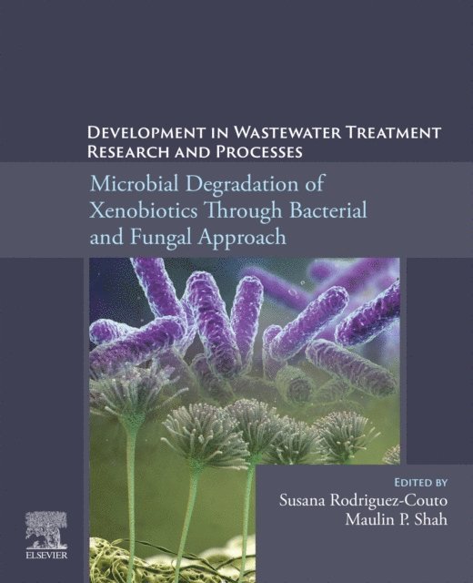 Susana Rodriguez-Couto, Maulin P. Shah - Development in Wastewater Treatment Research and Processes, E-bok
