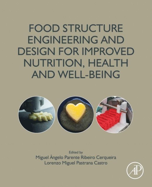 Lorenzo Miguel Pastrana Castro, Miguel Angelo Parente Ribei Cerqueira - Food Structure Engineering and Design for Improved Nutrition, Health and Well-being, E-bok