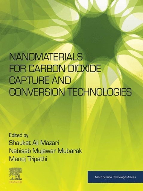 Manoj Tripathi, Nabisab Mujawar Mubarak, Shaukat Ali Mazari - Nanomaterials for Carbon Dioxide Capture and Conversion Technologies, E-bok