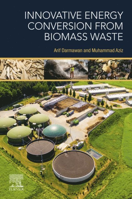 Muhammad Aziz, Arif Darmawan - Innovative Energy Conversion from Biomass Waste, E-bok