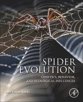 Spider Evolution