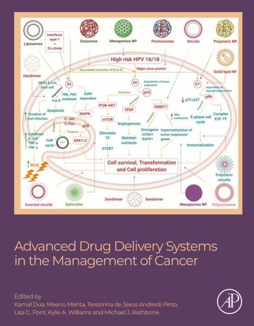 Michael Rathbone, Kylie A. Williams, Lisa G. Pont, Terezinha de Jesus Andreoli Pinto, Meenu Mehta, Kamal Dua - Advanced Drug Delivery Systems in the Management of Cancer, E-bok