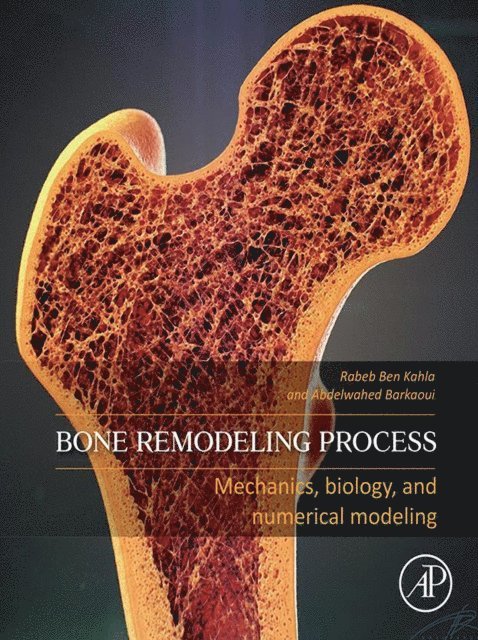 Abdelwahed Barkaoui, Rabeb Ben Kahla - Bone Remodeling Process, E-bok