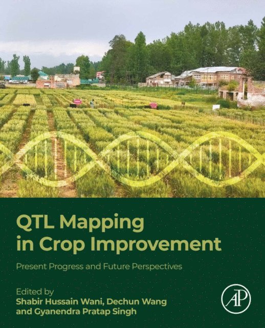 Gyanendra Pratap Singh, Dechun Wang, Shabir Hussain Wani - QTL Mapping in Crop Improvement, E-bok