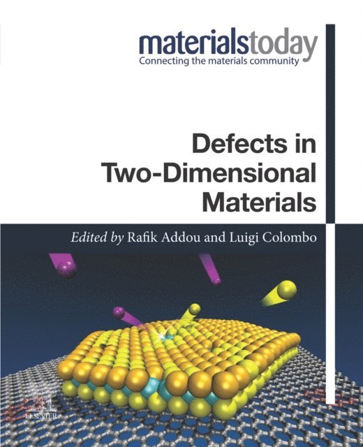 Luigi Colombo, Rafik Addou - Defects in Two-Dimensional Materials, E-bok