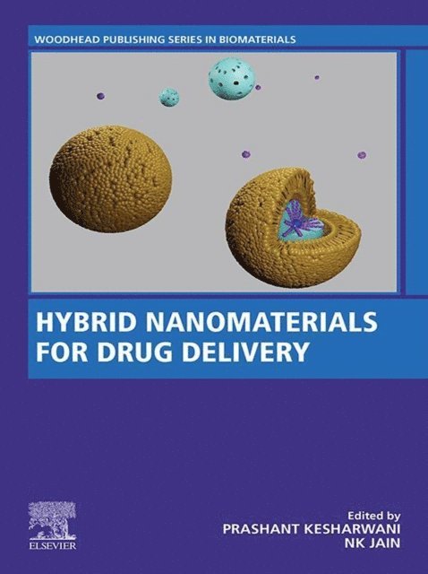 N.K. Jain, Prashant Kesharwani - Hybrid Nanomaterials for Drug Delivery, E-bok
