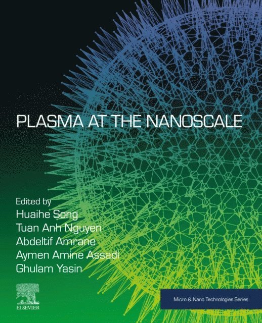 Ghulam Yasin, Aymen Amine Assadi, Abdeltif Amrane, Tuan Anh Nguyen, Huaihe Song - Plasma at the Nanoscale, E-bok