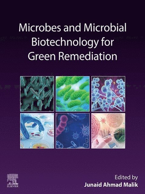 Junaid Ahmad Malik - Microbes and Microbial Biotechnology for Green Remediation, E-bok