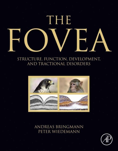 Peter Wiedemann, Andreas Bringmann - Fovea, E-bok