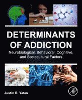 Justin R. Yates - Determinants of Addiction, Häftad