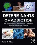 Determinants of Addiction