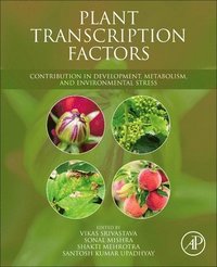 Plant Transcription Factors
