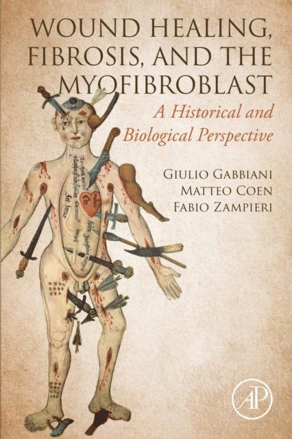 Fabio Zampieri, Matteo Coen, Giulio Gabbiani - Wound Healing, Fibrosis, and the Myofibroblast, E-bok