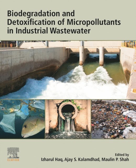 Maulin P. Shah, Ajay S. Kalamdhad, Izharul Haq - Biodegradation and Detoxification of Micropollutants in Industrial Wastewater, E-bok
