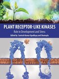 Plant Receptor-Like Kinases