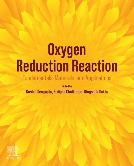 Kingshuk Dutta, Sudipta Chatterjee, Kushal Sengupta - Oxygen Reduction Reaction, E-bok