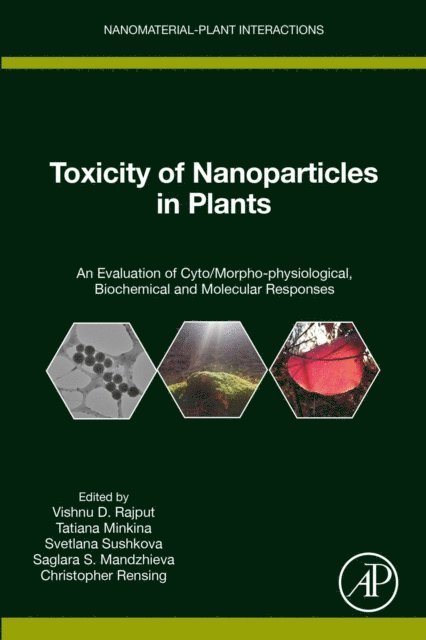 Christopher Rensing, Saglara S. Mandzhieva, Svetlana Sushkova, Tatiana Minkina, Vishnu D. Rajput - Toxicity of Nanoparticles in Plants, E-bok