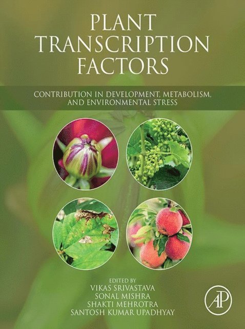 Santosh Kumar Upadhyay, Shakti Mehrotra, Sonal Mishra, Vikas Srivastava - Plant Transcription Factors, E-bok