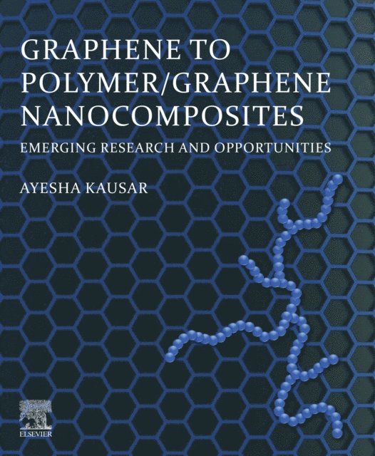 Ayesha Kausar - Graphene to Polymer/Graphene Nanocomposites, E-bok