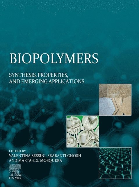 Marta E.G. Mosquera, Srabanti Ghosh, Valentina Sessini - Biopolymers, E-bok