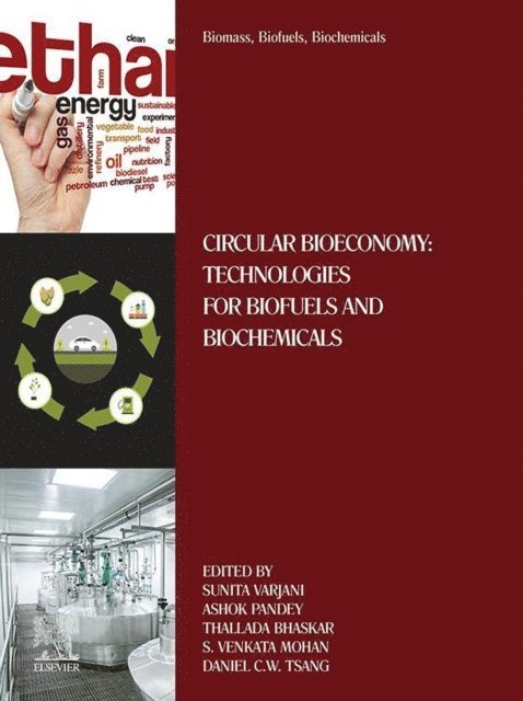 Daniel C.W. Tsang, S.Venkata Mohan, Thallada Bhaskar, Ashok Pandey, Sunita Varjani - Biomass, Biofuels, Biochemicals, E-bok