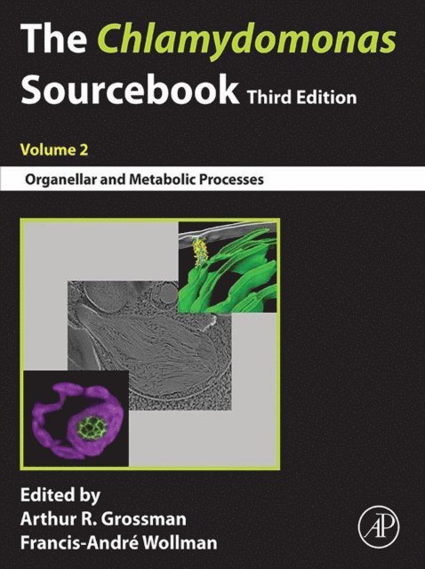 Francis-Andre Wollman, Arthur Grossman - Chlamydomonas Sourcebook, E-bok