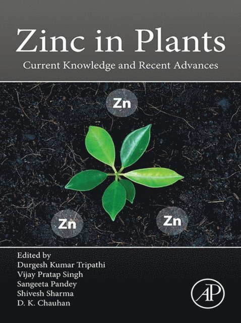 Devendra Kumar Chauhan, Shivesh Sharma, Sangeeta Pandey, Vijay Pratap Singh, Durgesh Kumar Tripathi - Zinc in Plants, E-bok