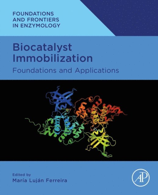 Maria Lujan Ferreira - Biocatalyst Immobilization, E-bok