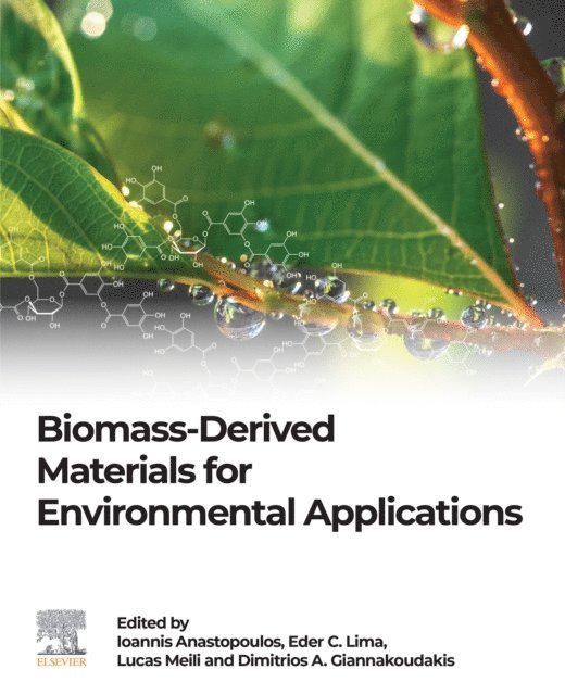 Dimitrios A Giannakoudakis, Lucas Meili, Eder Claudio Lima, Ioannis Anastopoulos - Biomass-Derived Materials for Environmental Applications, E-bok