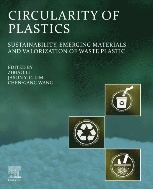 Chen-Gang Wang, Jason Y.C. Lim, Zibiao Li - Circularity of Plastics, E-bok
