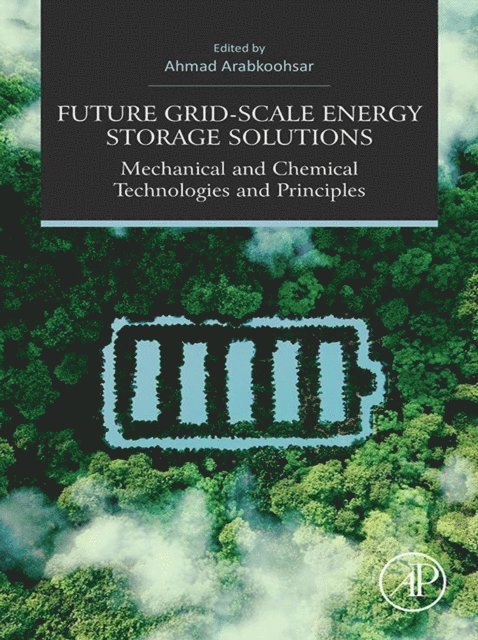 Ahmad Arabkoohsar - Future Grid-Scale Energy Storage Solutions, E-bok